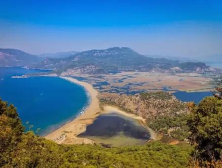 Dalyan Activities