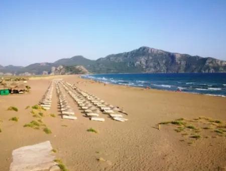 Iztuzu Turtle Beach Tour