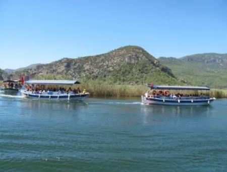 Dalyan Mud Bath Boat Tour