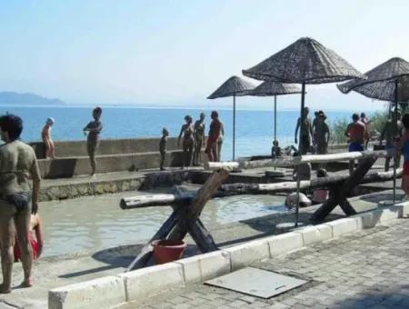 Dalyan Mud Bath Boat Tour