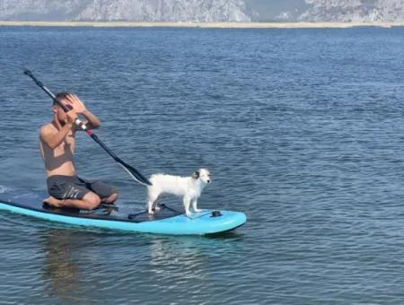 Dalyan Boat Tour - Kaptan Deniz