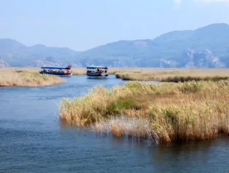 About Dalyan