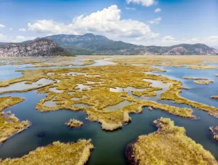 Dalyan Fotoğrafları